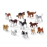 Canine Companions