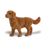 Canine Companions