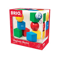 BRIO Magnetic Blocks