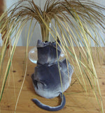 Grey Velvet Cat - Handmade in CANADA