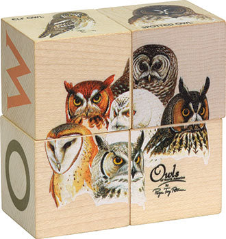 Cubes Block - Owl, Bird