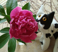 Black and White Velvet Cat - Handmade in CANADA