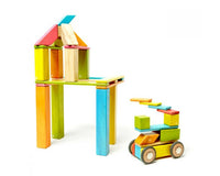 Tegu Magnetic 42-Piece Set -Tints